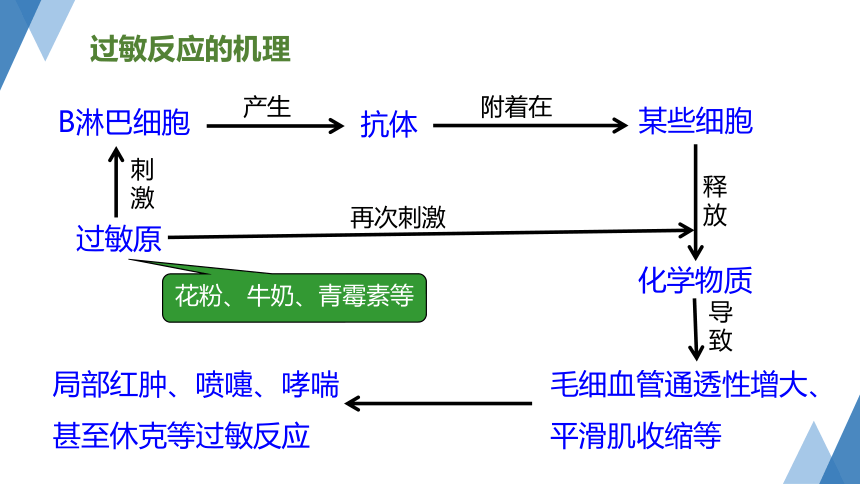 第3节 身体的防卫 第2课时 —2023-2024学年浙教版科学九年级下册（课件 21张ppt）