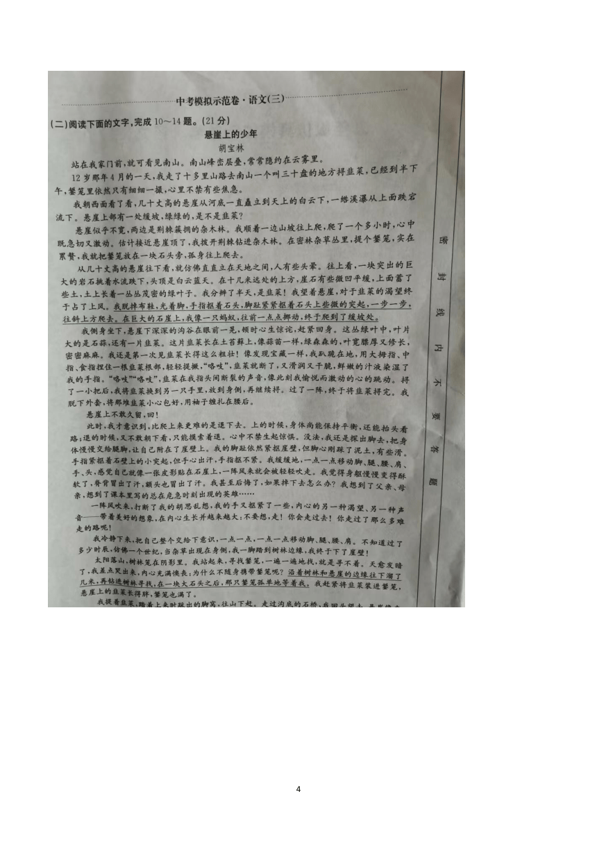 2024年陕西省榆林市子洲县周家硷中学中考三模语文试题（含答案）