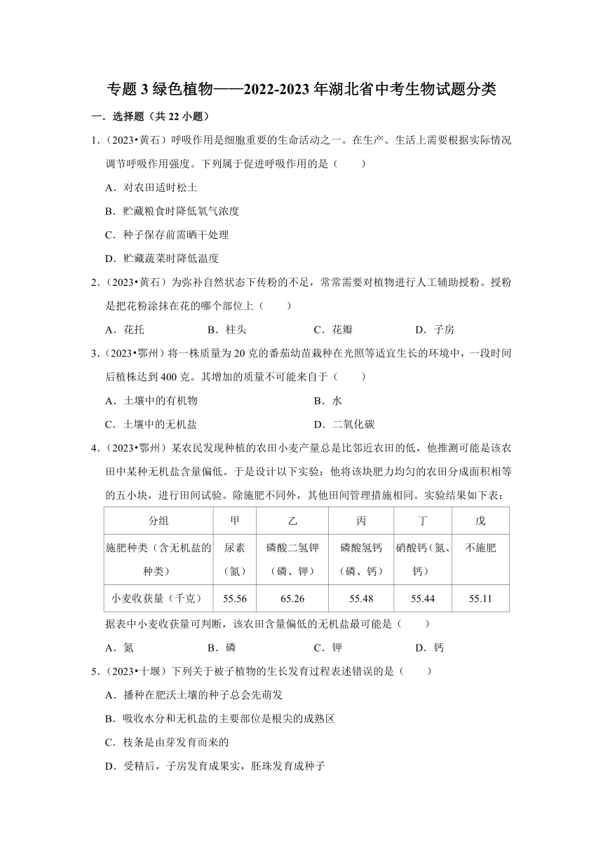 专题3绿色植物——2022-2023年湖北省中考生物试题分类（word版+解析版）