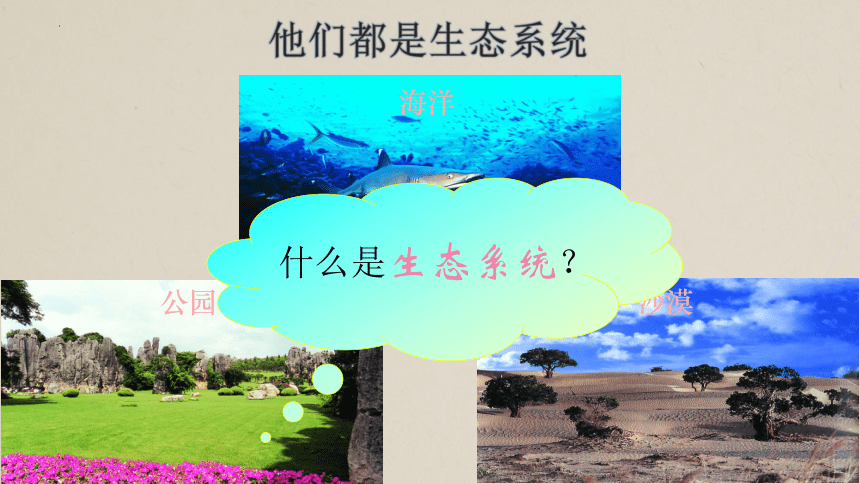 2.3.1多种多样的生态系统（1）课件(共20张PPT)2023-2024学年苏科版生物七年级上册