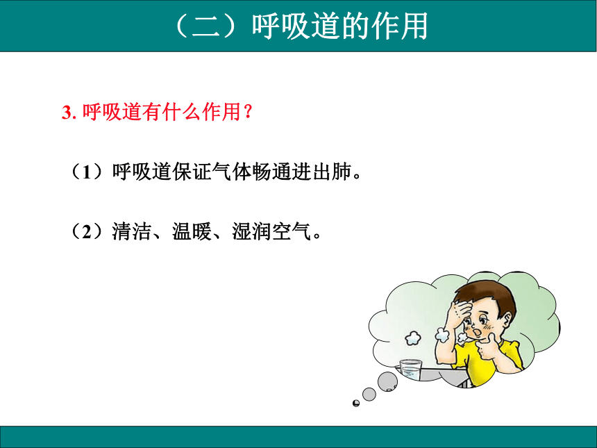 4.3.1呼吸道对空气的处理课件(共20张PPT)初中生物人教版七年级下册