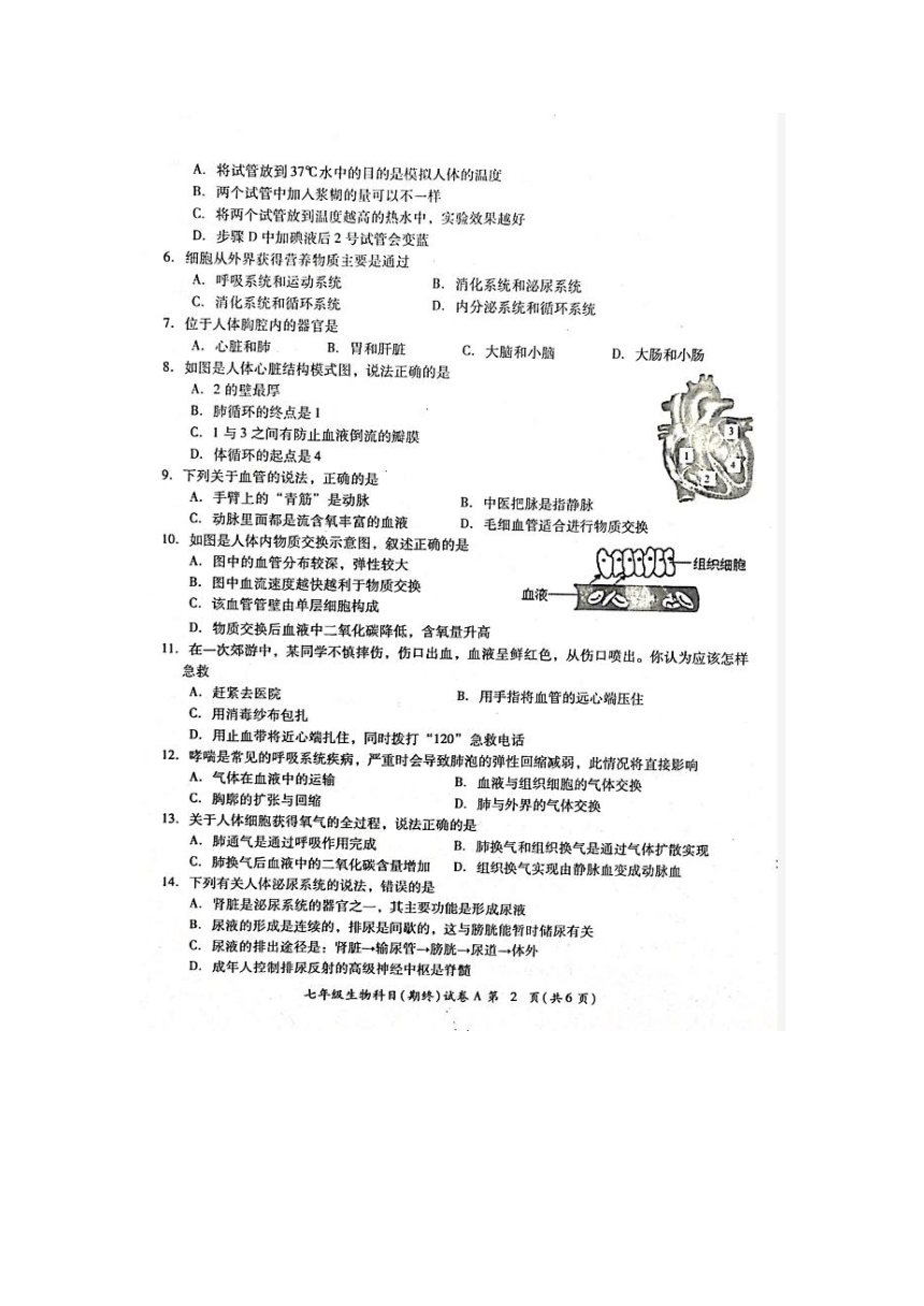 广东省揭阳市榕城区2022-2023学年七年级下学期期末考试生物试题（图片版含答案）