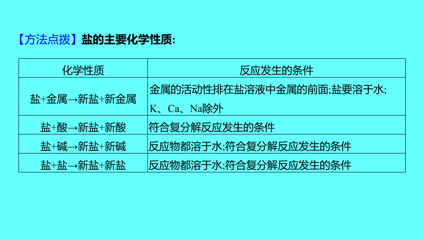 2024湖南中考复习 人教版化学 第十一单元　盐　化肥　课件(共50张PPT)