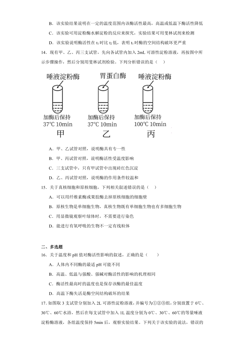 5.1降低化学反应活化能的酶 练习（Word含解析）2023-2024学年高中生物学人教版（2019）必修1