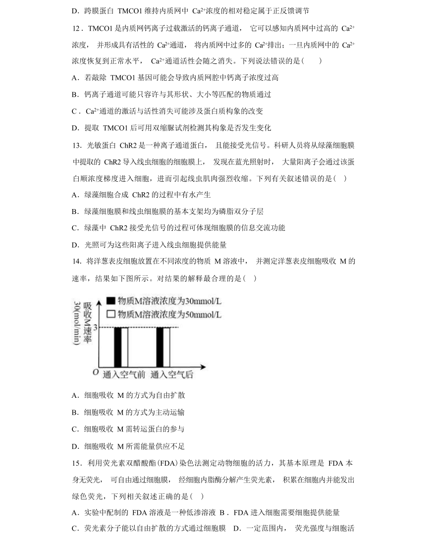 4.1 被动运输 综合练习-高一生物学（人教版2019必修1）（有解析）