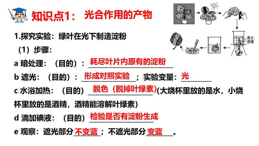 第三单元第三、四、五章章末复习-八年级生物上册同步精品课堂(冀少版)(共41张PPT)