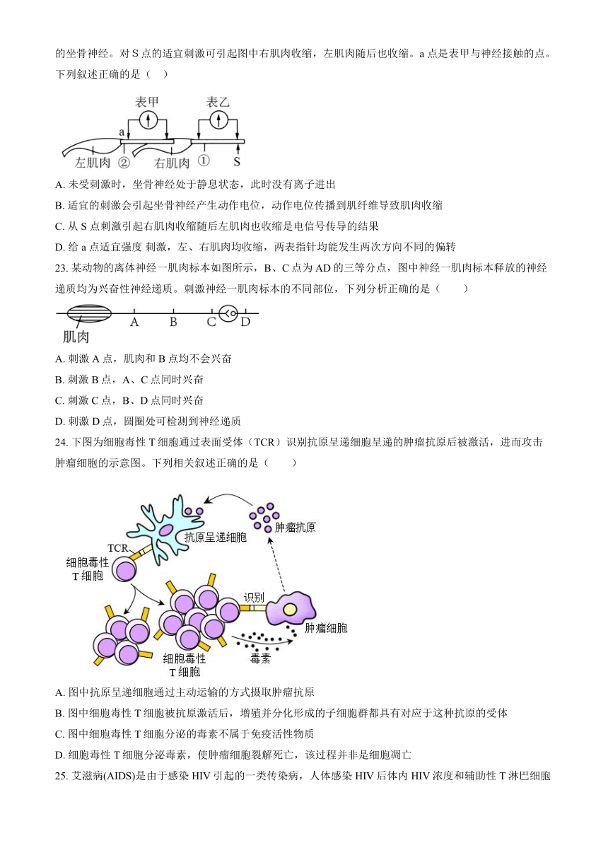 2023北京八十中高二（上）期中生物（教师版）（有解析）