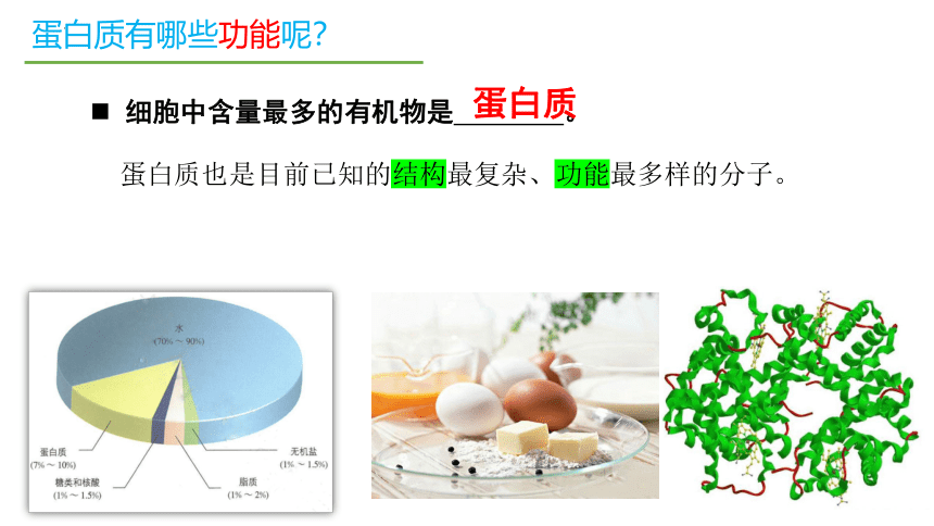 2.4蛋白质是生命活动的主要承担者课件(共51张PPT)2023-2024学年高一上学期生物人教版必修1