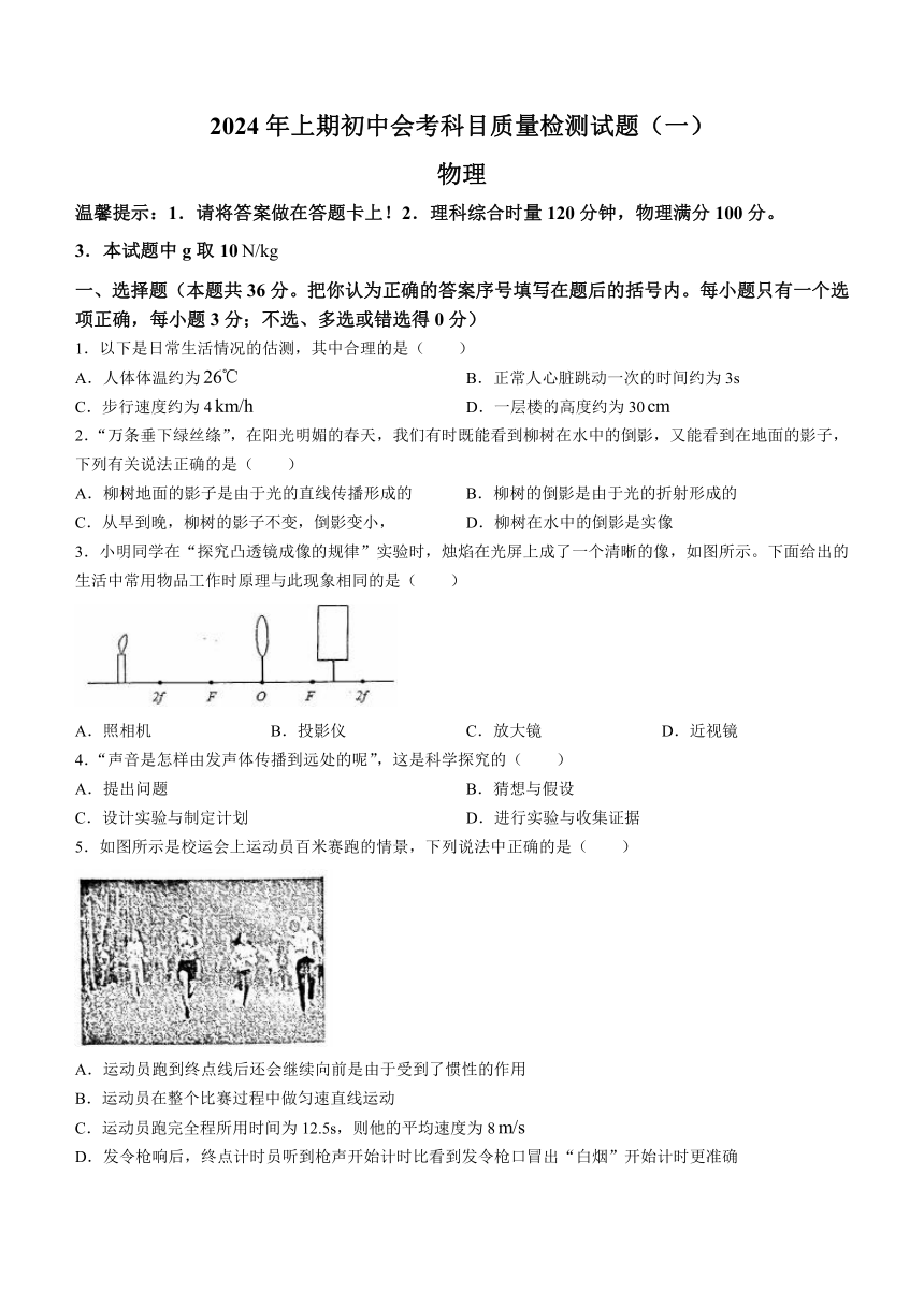 2024年湖南省娄底市涟源市中考一模物理试题（含答案）