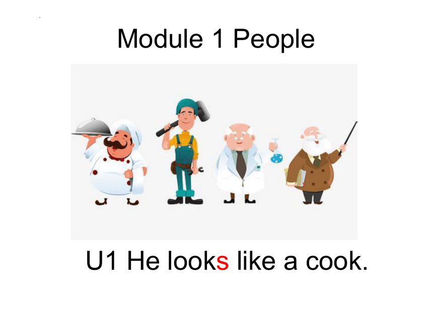Module 1 Unit 1 He looks like a cook 课件(共16张PPT)