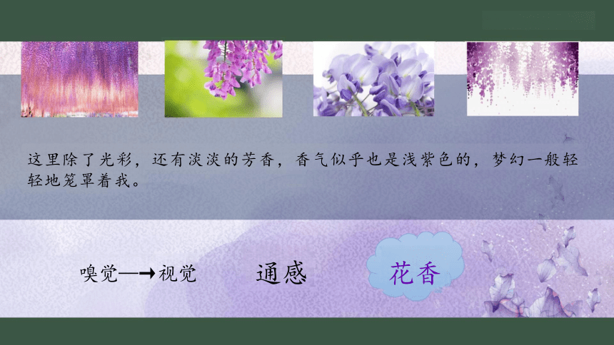 18 紫藤萝瀑布 课件（共26张PPT）