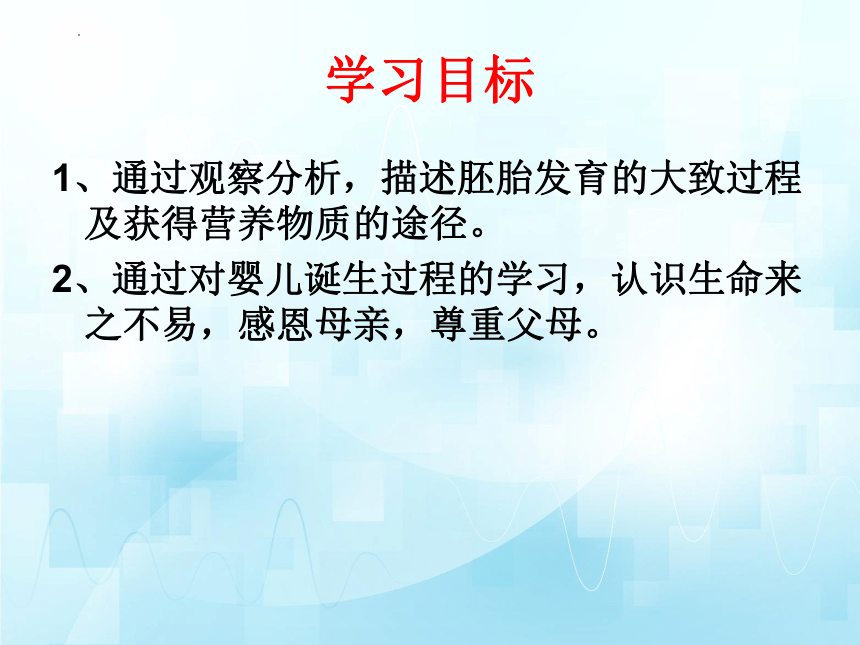 4.3.1 婴儿的诞生（第二课时） 课件 (共25张PPT) 山东省济南市济南版生物八年级上册