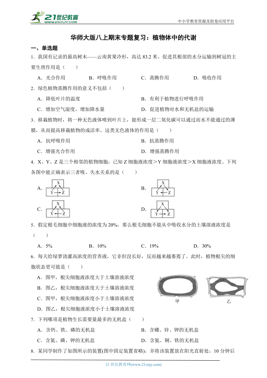 华师大版科学八上期末专题复习：植物体中的代谢（含答案）