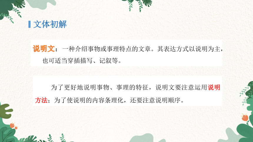 统编版语文八年级上册 18 中国石拱桥课件(共40张PPT)