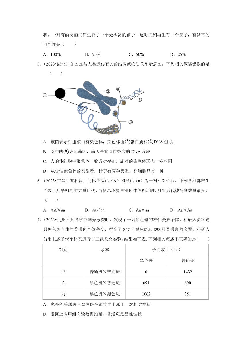 专题5生物的生殖、发育与遗传——2022-2023年湖北省中考生物试题分类（word版+解析版）