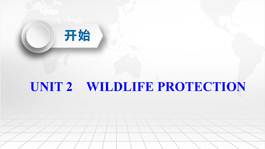 人教版（2019） 必修 第二册UNIT 2　WILDLIFE PROTECTION复习课件(共99张PPT)