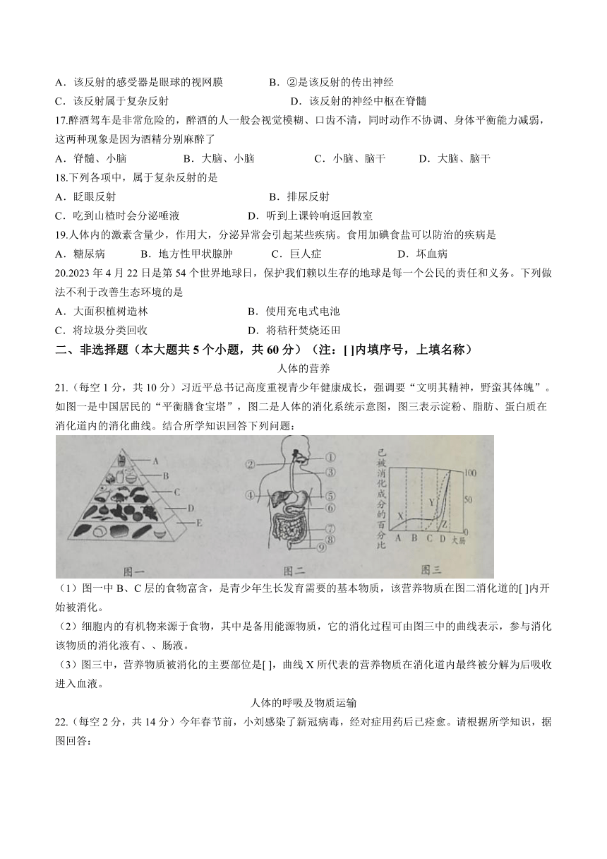 山西省朔州市右玉县教育集团初中部2022-2023学年七年级下学期期末生物试题（含答案）