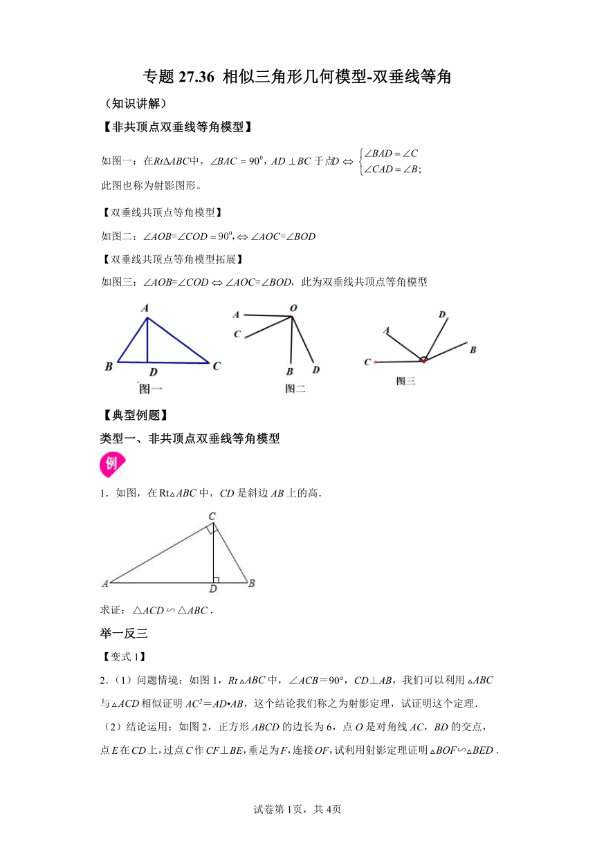 专题27.36相似三角形几何模型-双垂线等角 知识讲解（含解析）2023-2024学年九年级数学下册人教版专项讲练