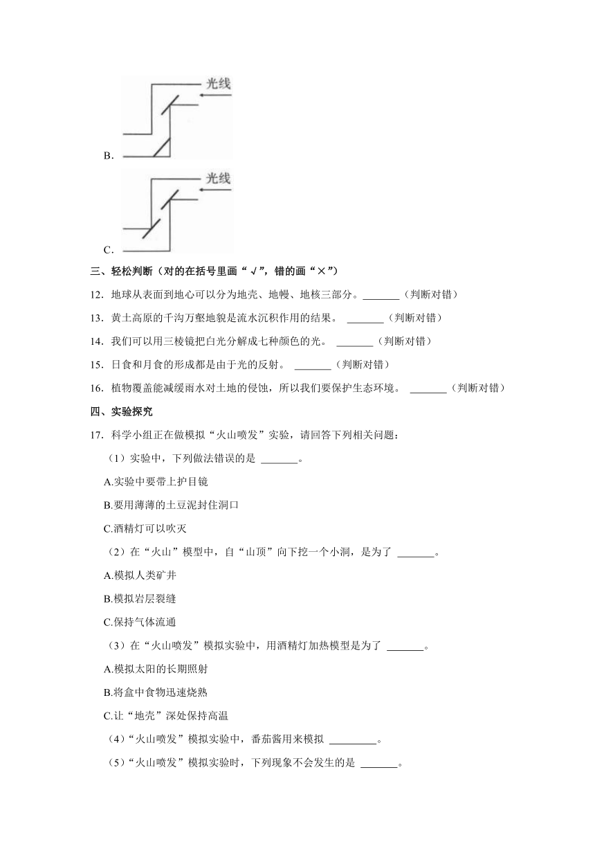 2023-2024学年陕西省延安市富县五年级（上）期中科学试卷（含解析）