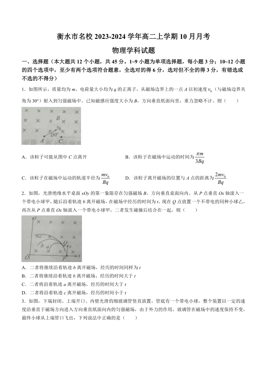 河北省衡水市名校2023-2024学年高二上学期10月月考物理试题（含答案）