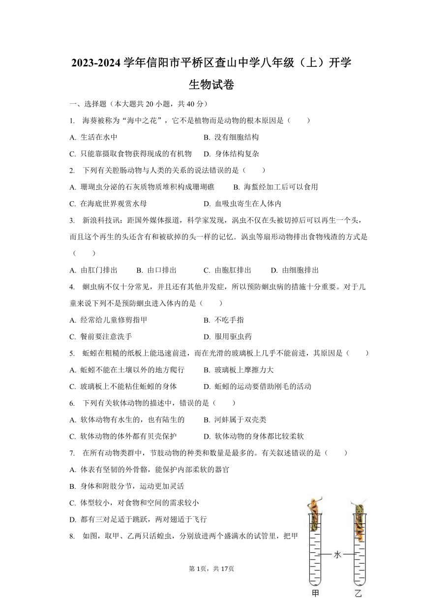 2023-2024学年河南省信阳市平桥区查山乡初级中学八年级（上）开学生物试卷（含解析）