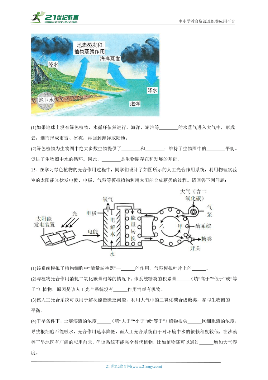 2023-2024学年初中生物济南版七年级上册期末复习专题10——绿色植物在生物圈的作用（答案 解析）