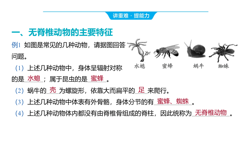 2024年山东省中考生物（济南版）2.2.1 动物的主要类群课件（共38张PPT)