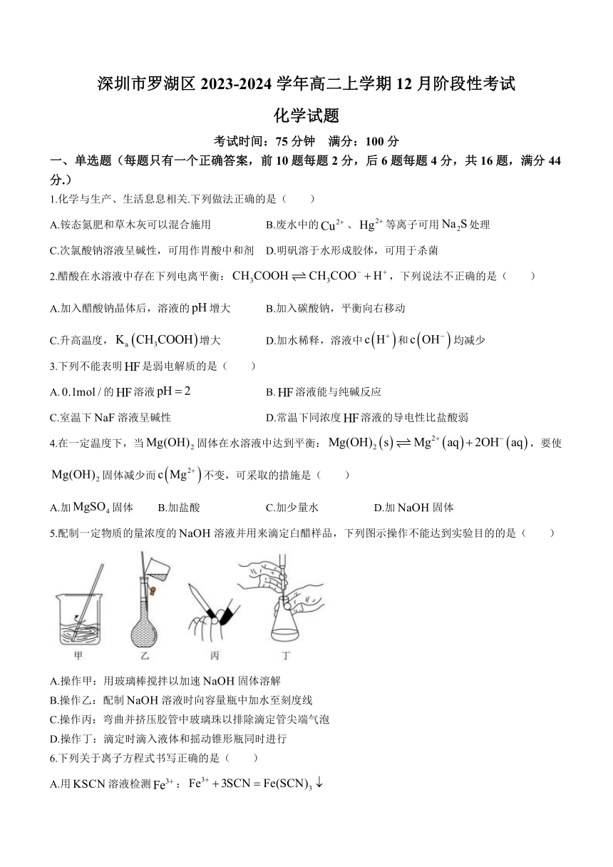 广东省深圳市罗湖区2023-2024学年高二上学期12月阶段性考试化学试题（含答案）