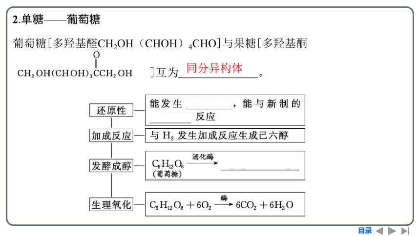 2024高考一轮复习  第九章  有机化学基础 第五节　生物大分子　合成高分子（107张PPT）