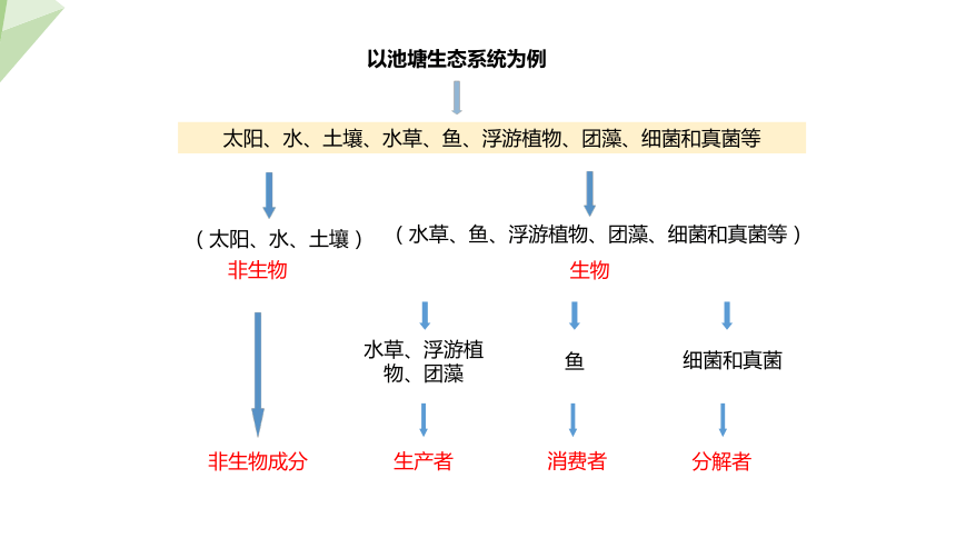 7.19.1 生态系统的组成 课件 (共23张PPT)2023-2024学年初中生物苏教版八年级上册