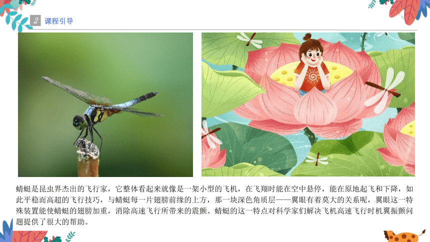 美术社团课程《荷塘里的蜻蜓仙子》小学延时服务(共20张PPT)