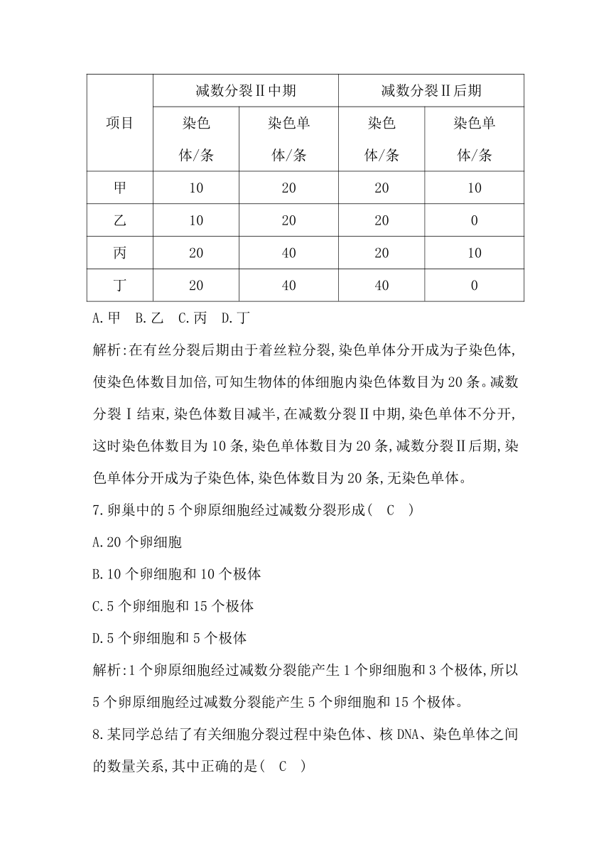 人教生物学必修2分层训练：2-1　减数分裂和受精作用 第1课时　减数分裂（含解析）