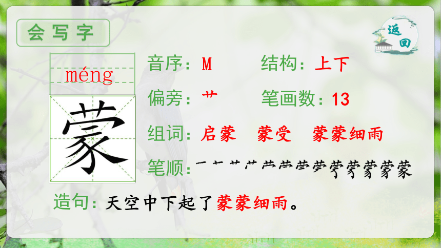 23.《父亲、树林和鸟》第一课时课件（共37张PPT）