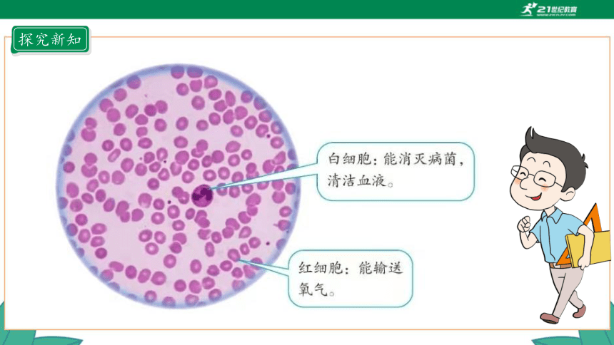 新人教版4年级上册 1.5 亿以内数的改写 教学课件（20张PPT）