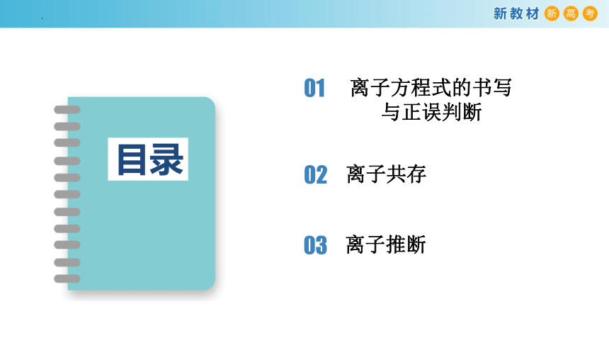 1.2.4 专题：离子反应强化与提升（课件）(共33张PPT)高一化学（人教版2019必修第一册）