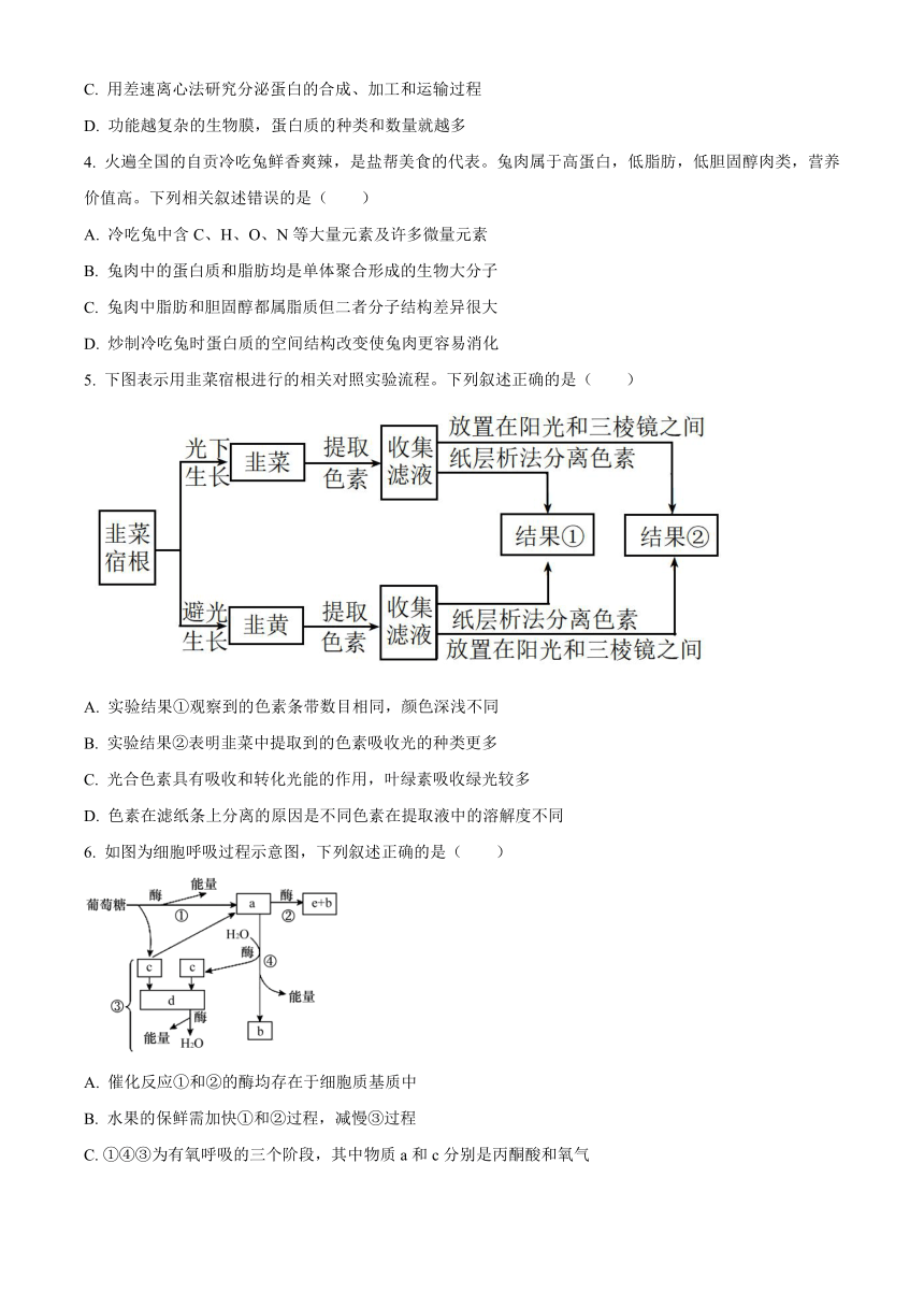 湖南省株洲市远恒佳景炎高级中学2023-2024学年高二上学期入学考试生物学试题（原卷版+解析版）