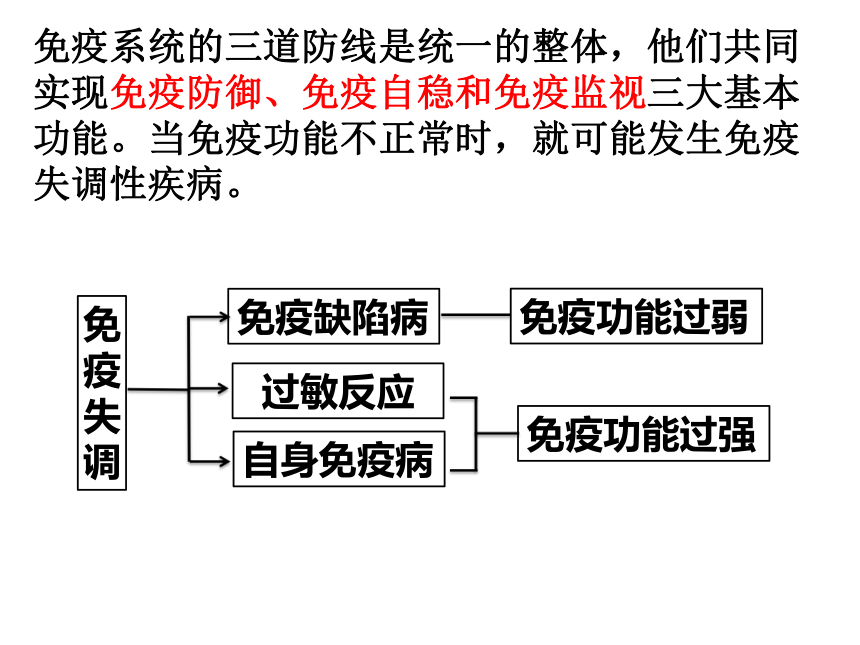 3.2人体免疫功能异常课件(共38张PPT)2023-2024学年高二上学期生物苏教版选择性必修1