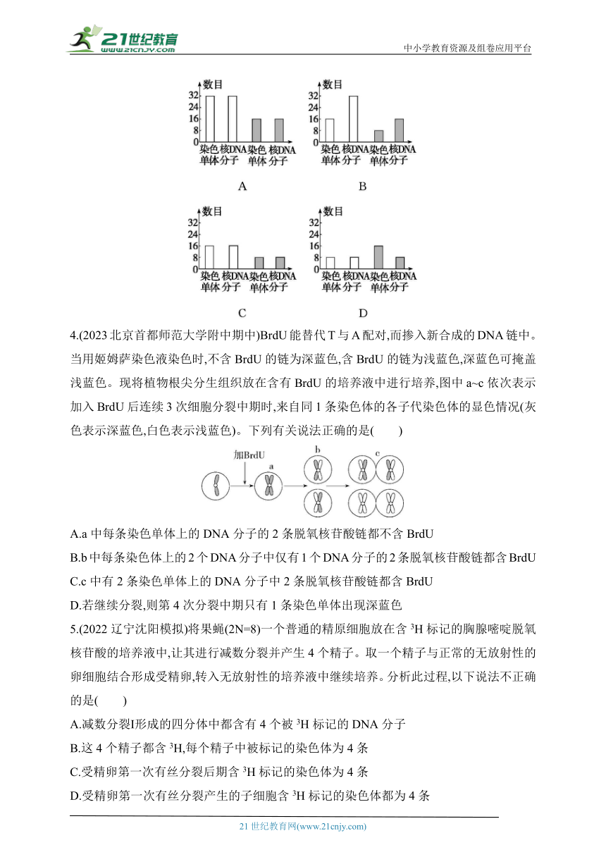 人教版2019高中生物必修二  同步练习题--专题强化练4　细胞分裂与DNA复制的综合（含解析）