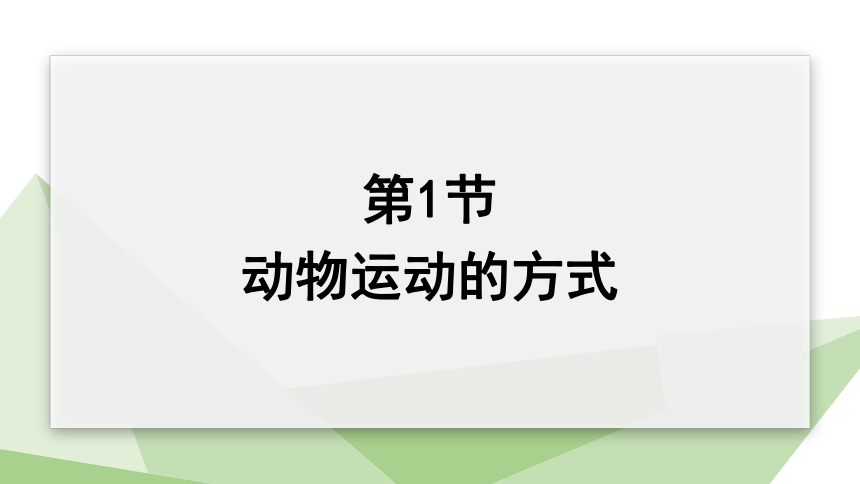 5.15.1  动物运动的方式 课件(共27张PPT) 2023-2024学年初中生物北师版八年级上册