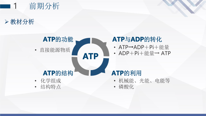 5.2细胞的能量货币ATP课件(共38张PPT)-人教版（2019）必修1
