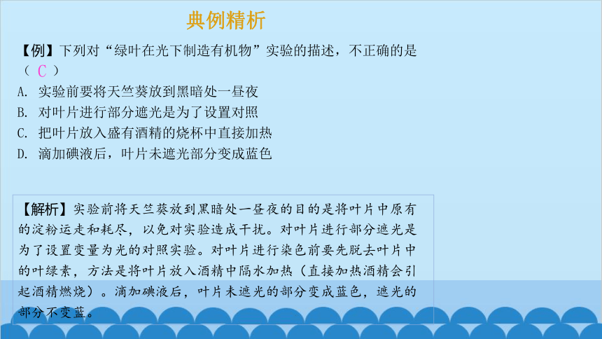 3.6.3 植物光合作用的实质课件(共21张PPT)苏教版生物七年级上册