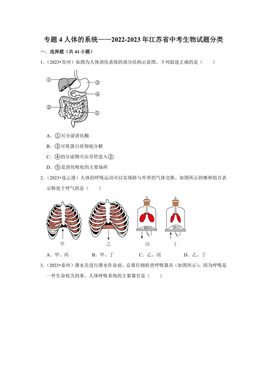 专题4人体的系统——2022-2023年江苏省中考生物试题分类（含解析）