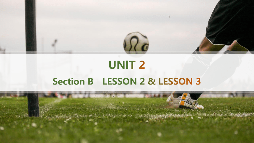 北师版（2019）必修第一册UNIT 2 Sports and Fitness　LESSON 2 & LESSON 3课件(共92张PPT)