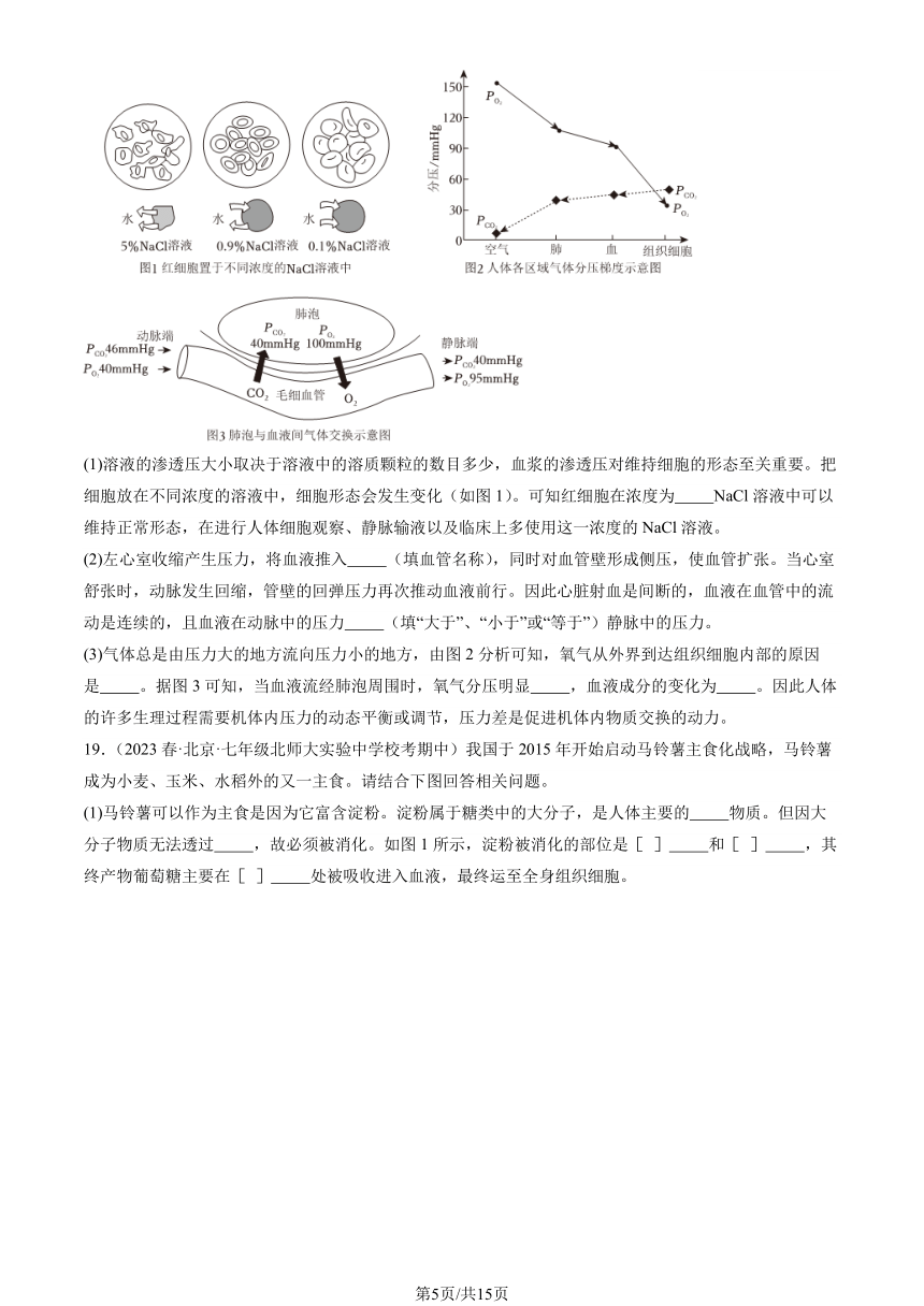 2023北京重点校初一（下）期中生物汇编：人的呼吸习题（PDF版含解析）