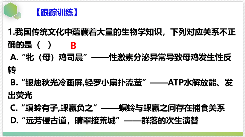 2.1群落的结构 第2课时课件(共34张PPT)-2023-2024学年高二上学期生物人教版（2019）选择性必修2