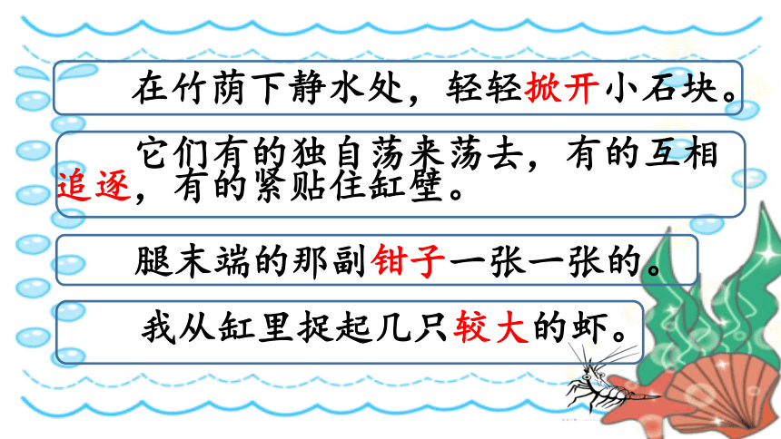 15.《小虾》课件(共33张PPT)