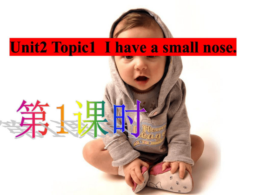 Unit2 Topic 1 I have a small nose 第1课时 课件（仁爱科普版七年级上册）