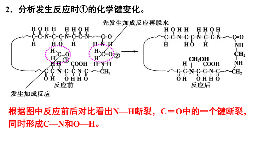 第1章原子结构与元素性质微项目及单元复习(共16张PPT)-2023-2024学年高二化学鲁科版选择性必修第二册课件