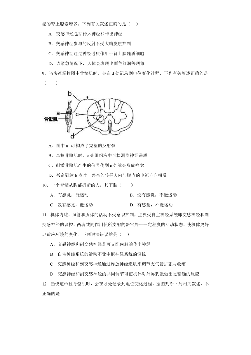 2.4脑和脊髓对反射活动的协同调节同步课时训练（有答案）-2022-2023学年高二上学期生物北师大版（2019）选择性必修一