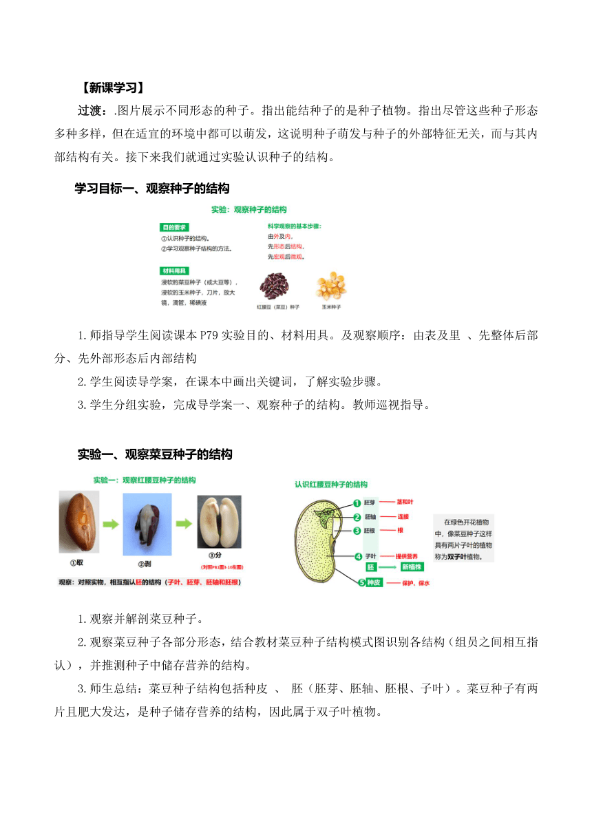 【核心素养目标】  3.1.2种子植物（2课时）（教学设计）人教版七年级生物上册